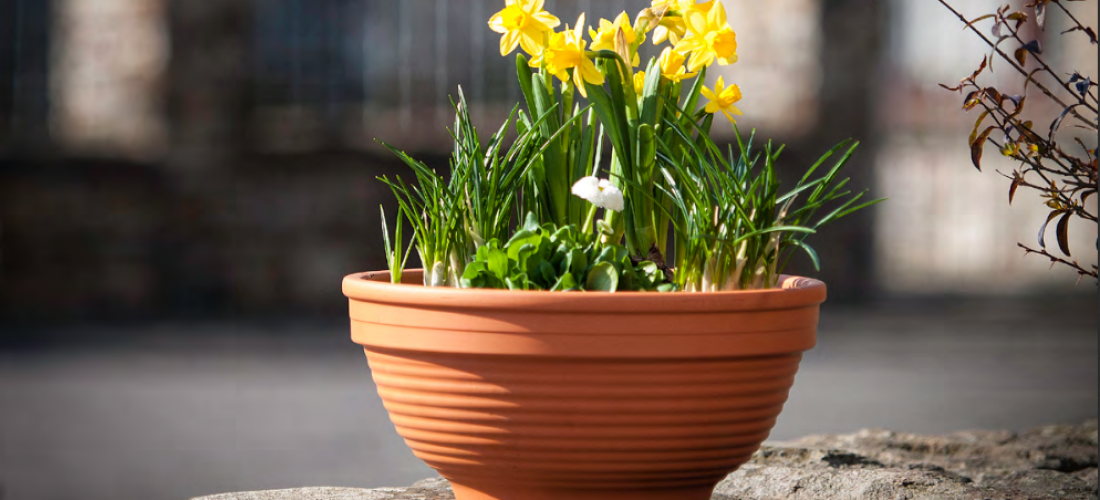 プランターボールＲ