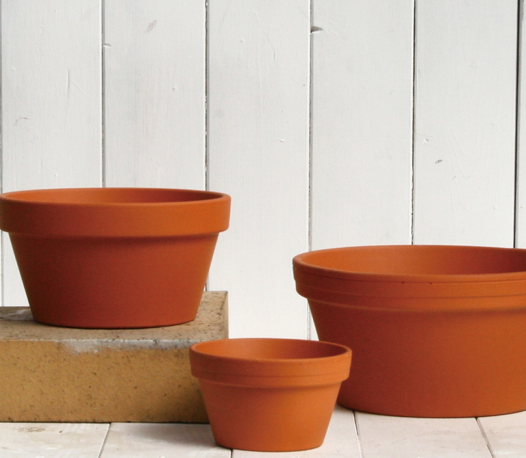 カルチャーボール