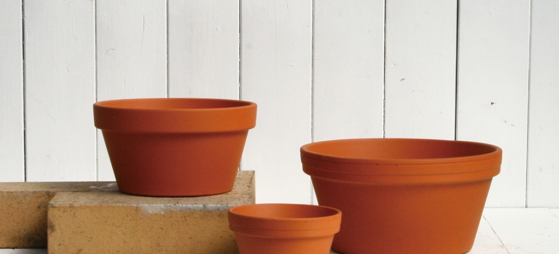 カルチャーボール