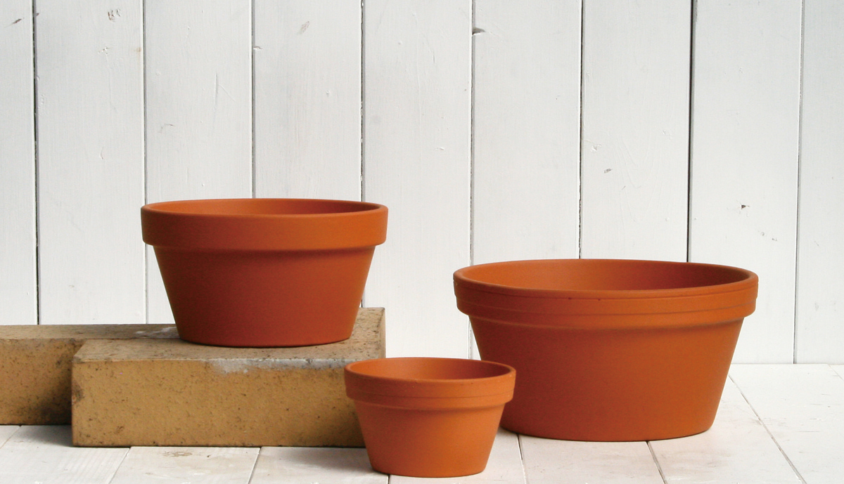 カルチャーボール